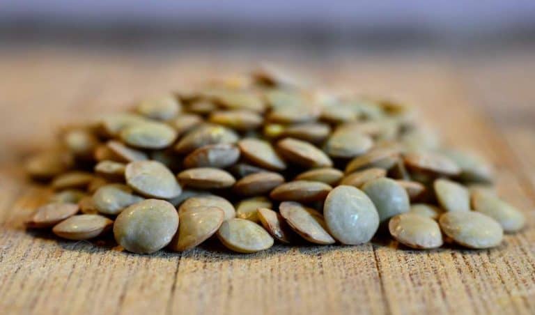 Rezept für vegetarische Linseblognese