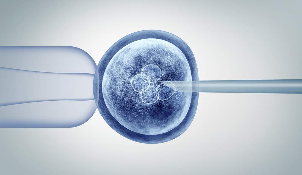 Kinderwunsch Vorbereitung: IVF mit Pläimplantationsdiagnostik bei genetischen Vorerkrankungen